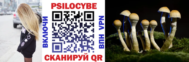 darknet формула  дарнет шоп  Алексин  Псилоцибиновые грибы Magic Shrooms 